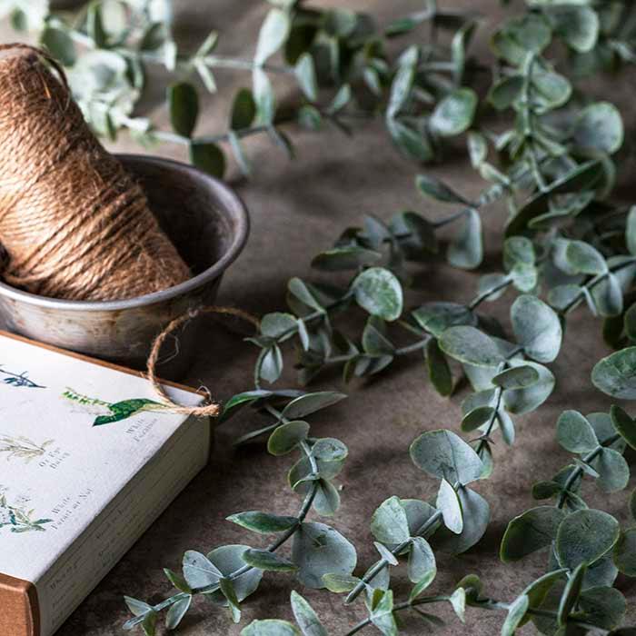 Eucalyptus Trailing Stem