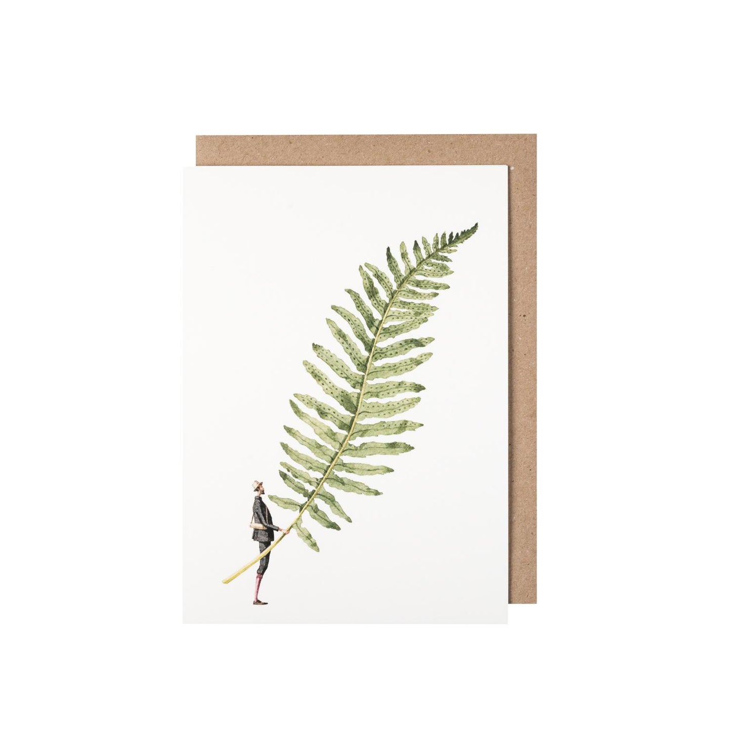 Fern Greeting Card