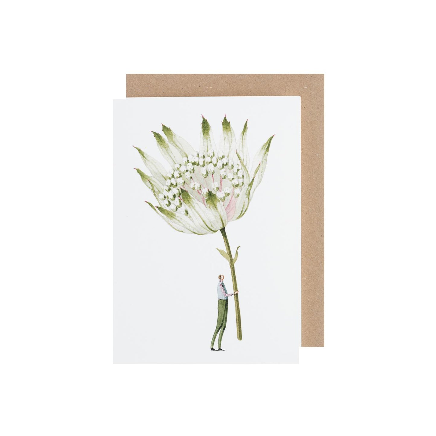 Green Astrantia Greeting Card