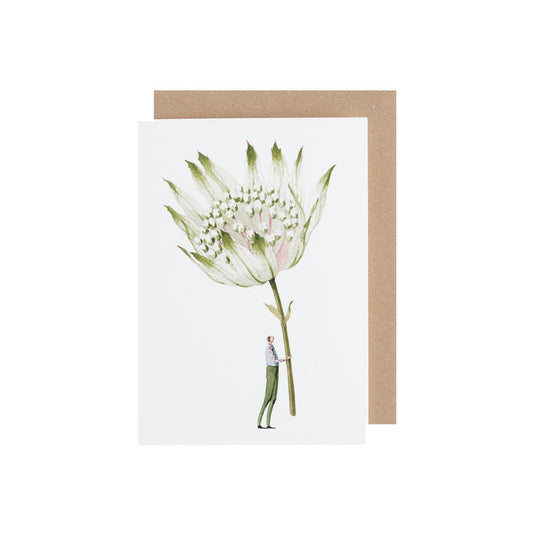 Astrantia verte Carte de vœux