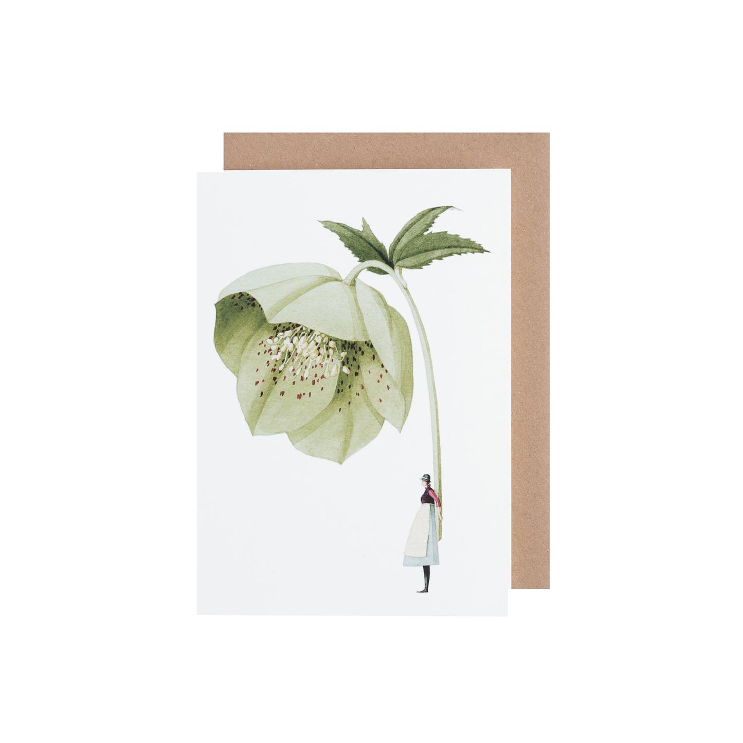 Green Hellebore Greeting Card