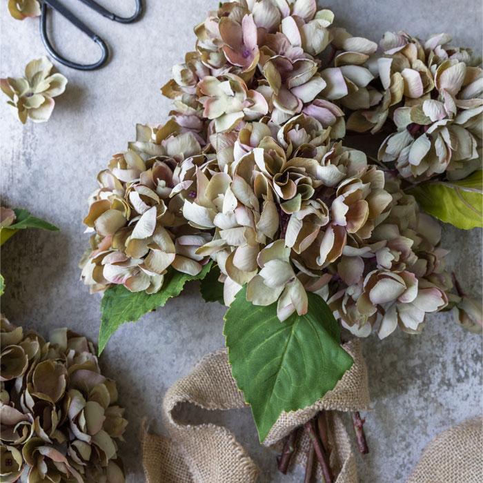 Hydrangea Dusk Stem