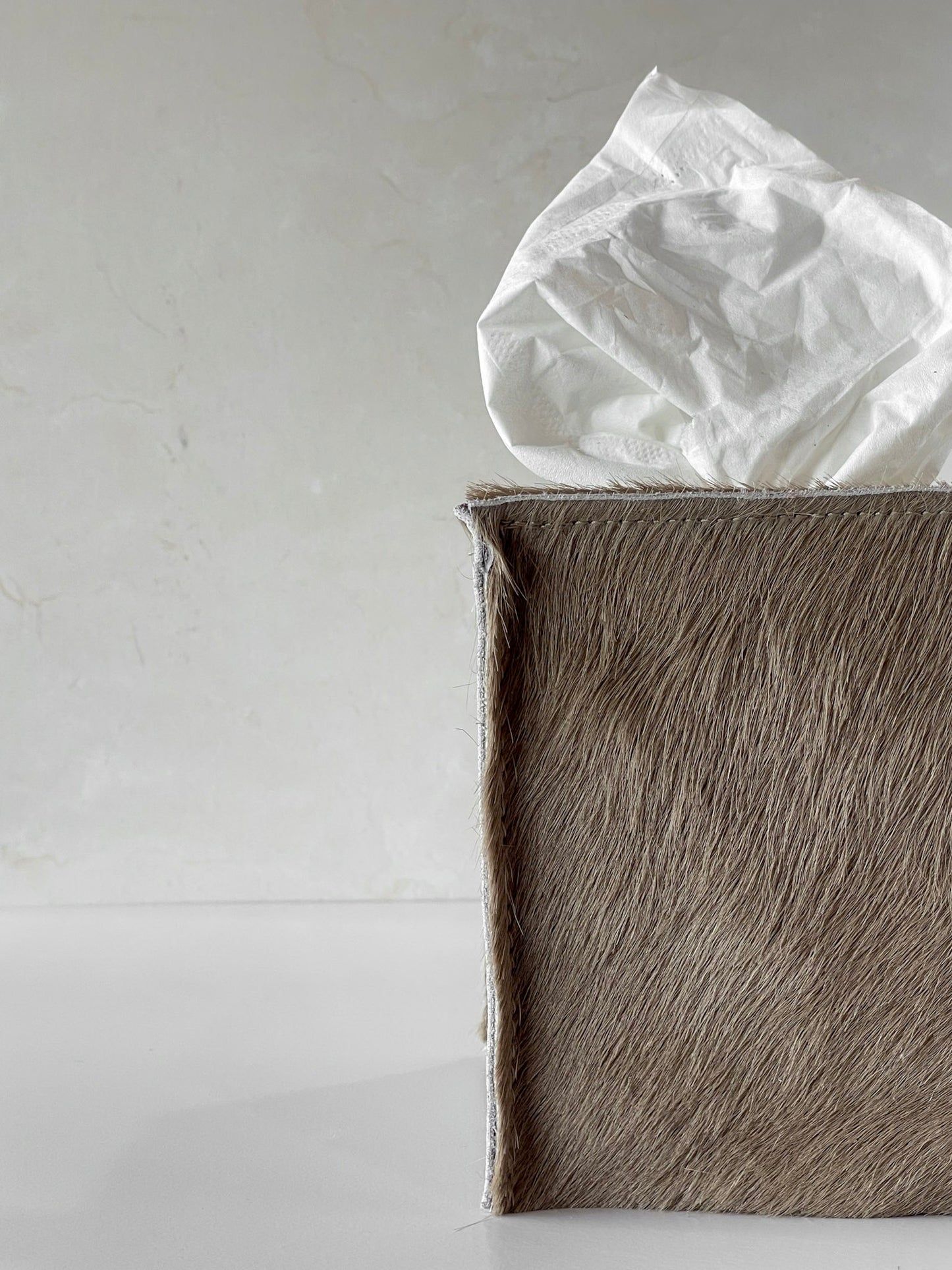 Couverture de boîte à mouchoirs en cuir