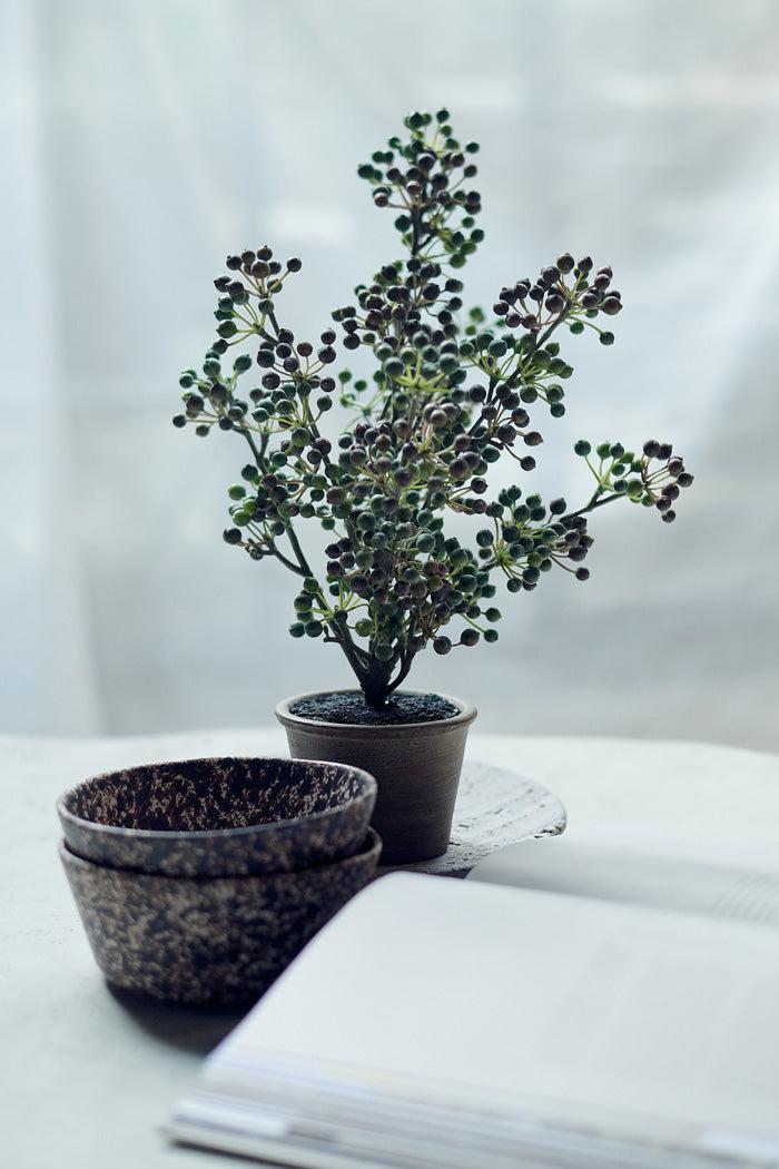 Potted Berry Bush