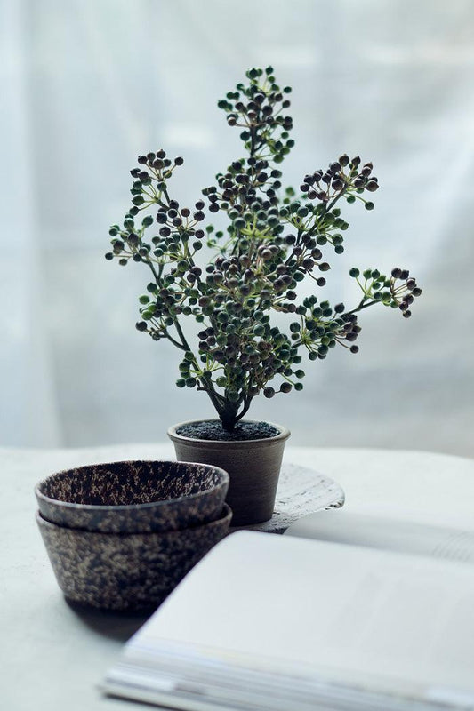 Potted Berry Bush