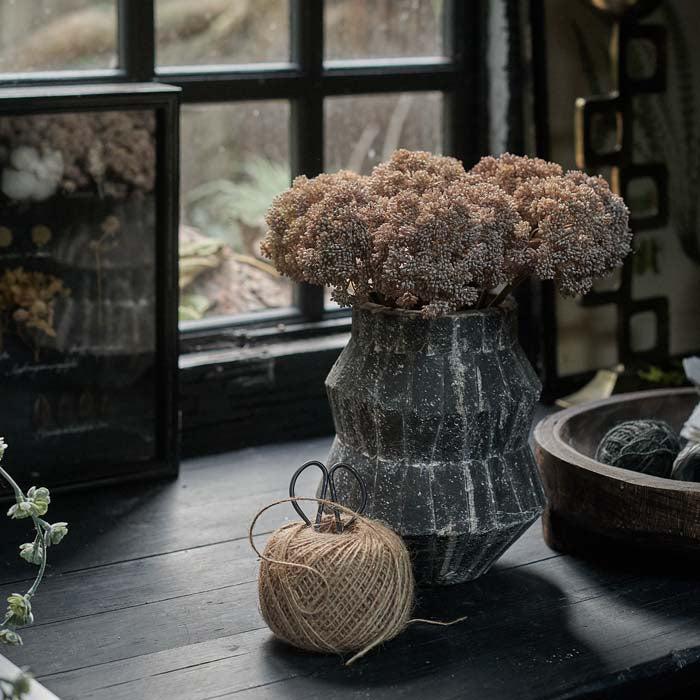 Sedum Cloud Stem