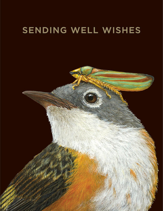 ‘Sending Well Wishes’ Greeting Card