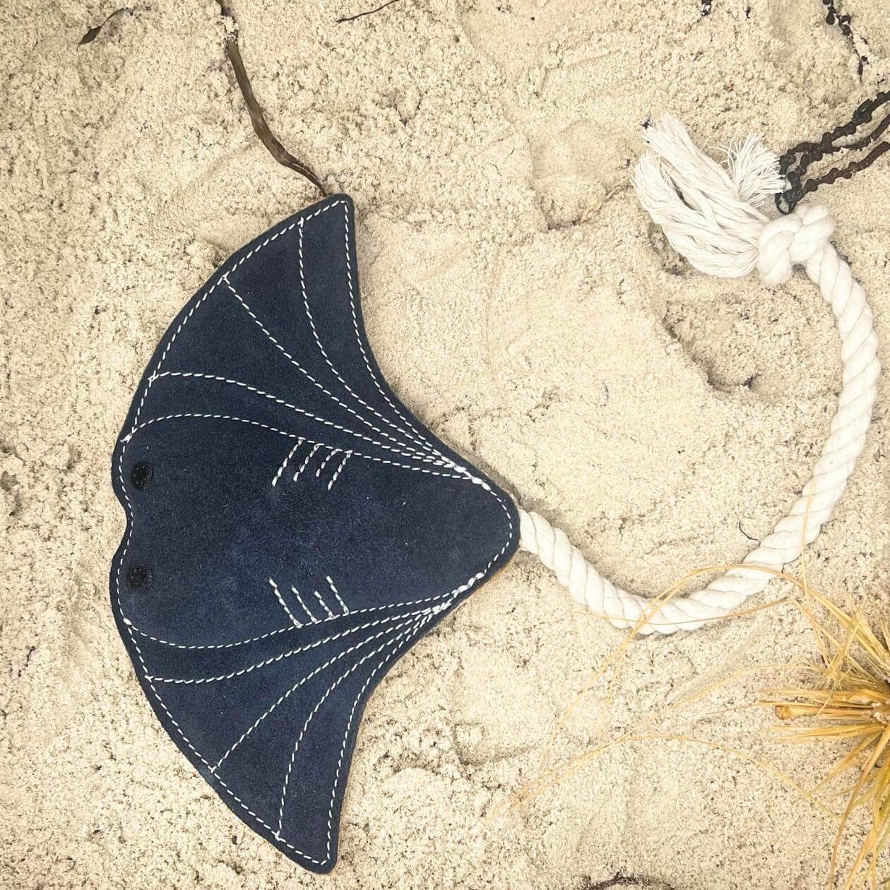 Simon the Stingray
