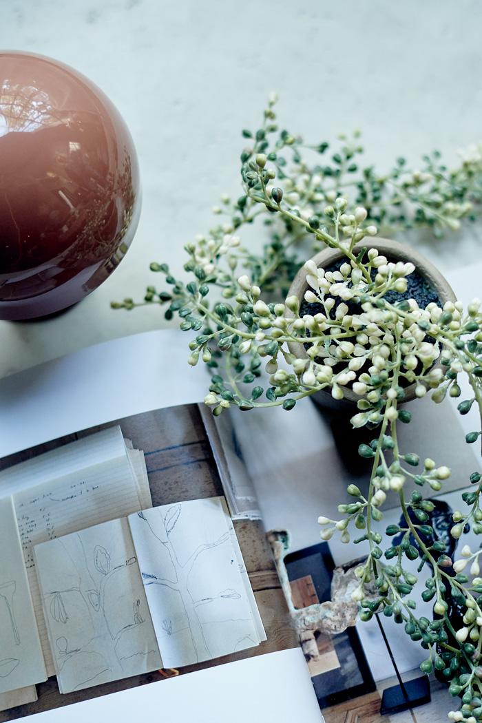 String of Pearls Succulent in Pot