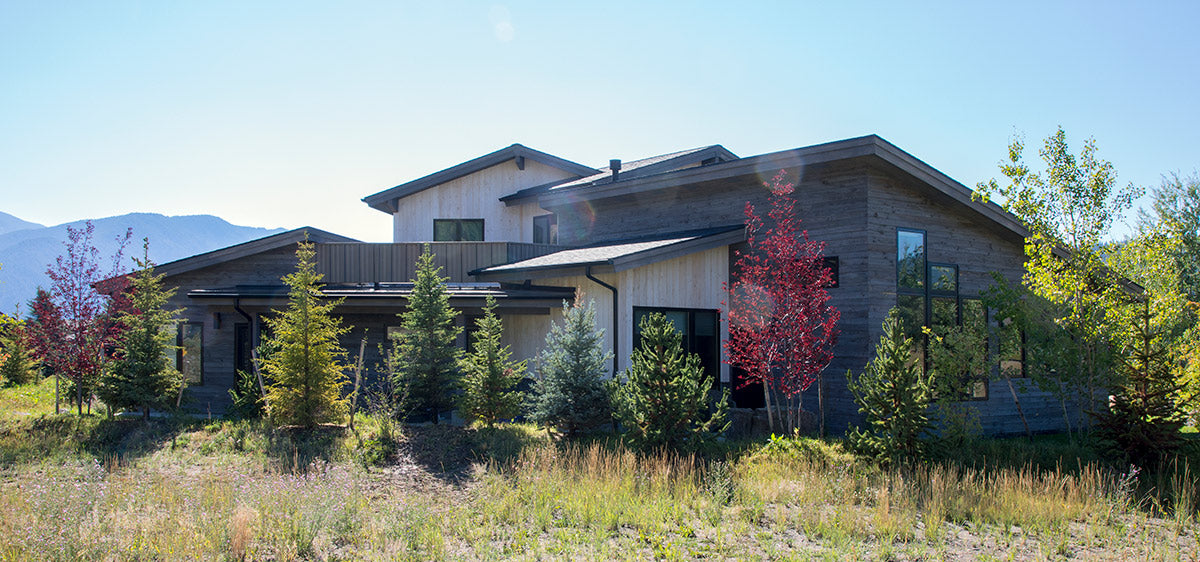 Modern exterior home